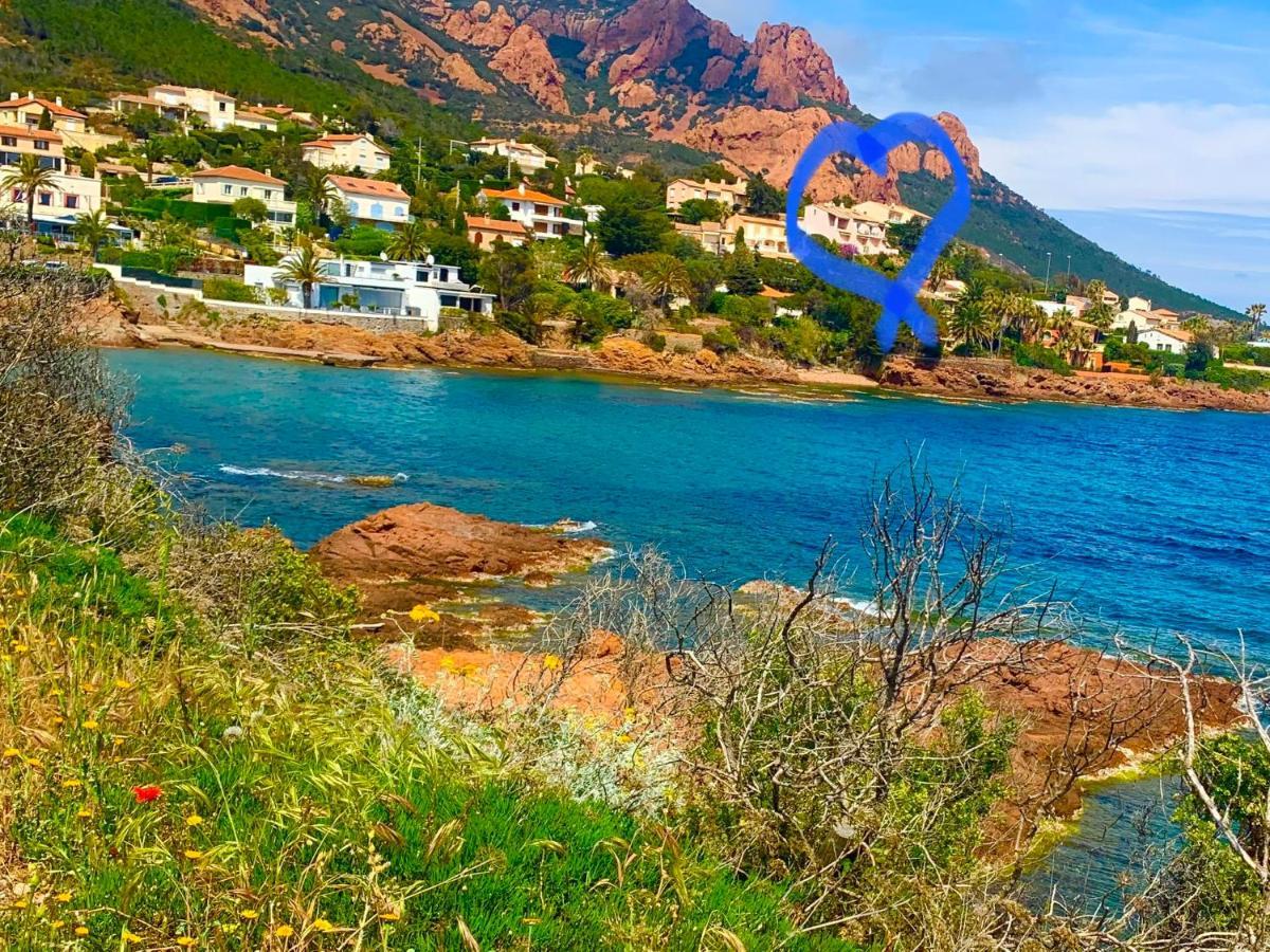 La Belle Vue-Charming Duplex Apartment With Sea View, 50 Meters From Beach And Private Parking Saint-Raphaël Zewnętrze zdjęcie